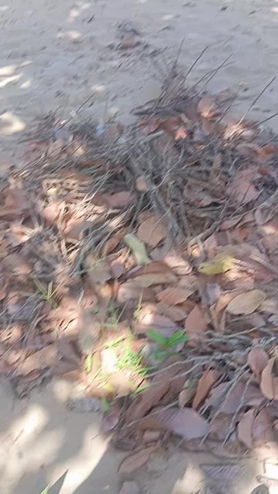 Đất vườn Trà Ôn Vĩnh Long 1000m² giá 930 triệu - Giá đầu tư tốt!