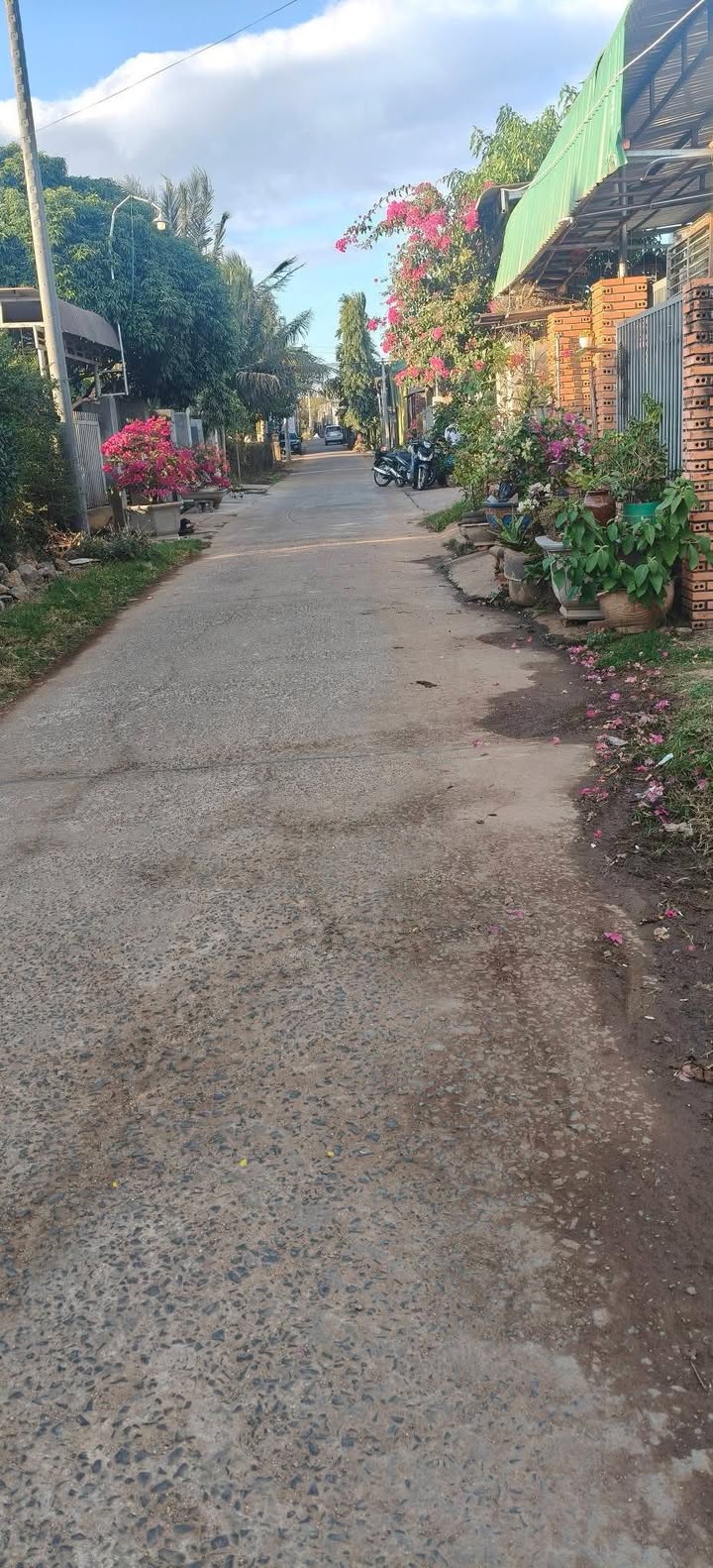 Bán đất nền 100m² Ea Bông, Krông Ana - 395 triệu, gần Tỉnh lộ 2