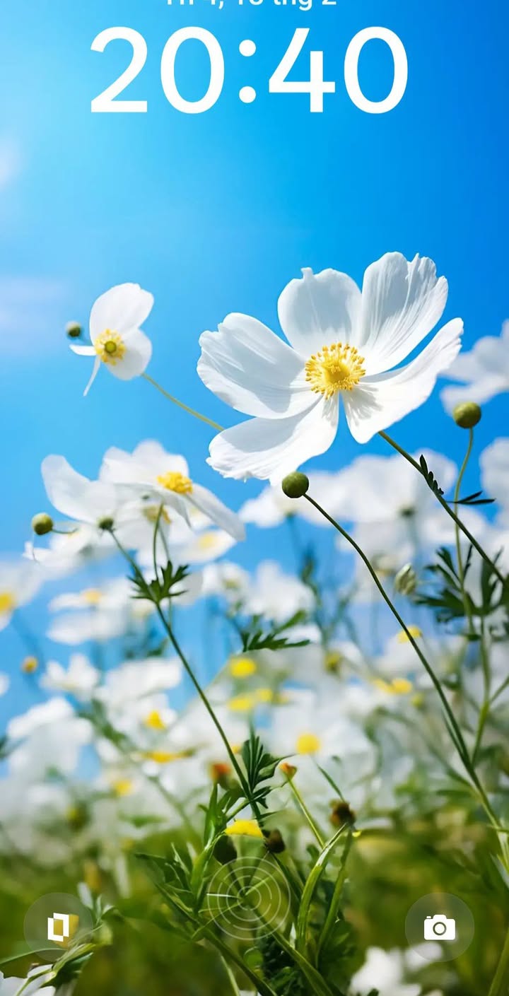 Đất nền Phúc Lộc Phúc Thọ 80m² - Sổ đỏ chính chủ, Ô tô vào tận nơi!