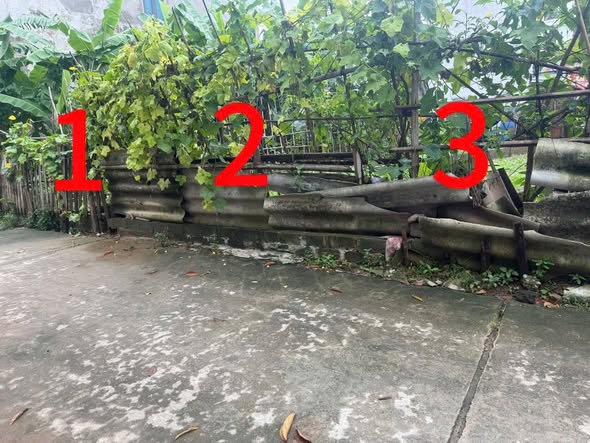 Đất nền Phụng Châu Chương Mỹ 97m² hơn 4 tỷ - Sổ đỏ chính chủ