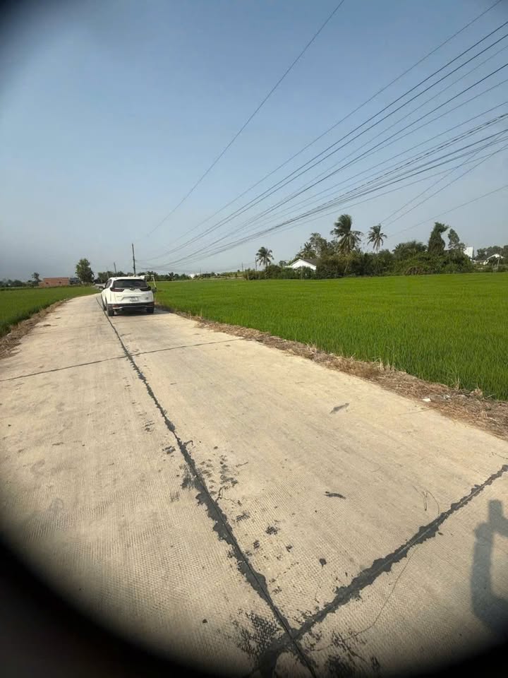 Đất Thổ Cư 200m² Mặt Tiền Nguyễn Văn Vịnh, Tân Trụ - Giá F0 850 Triệu