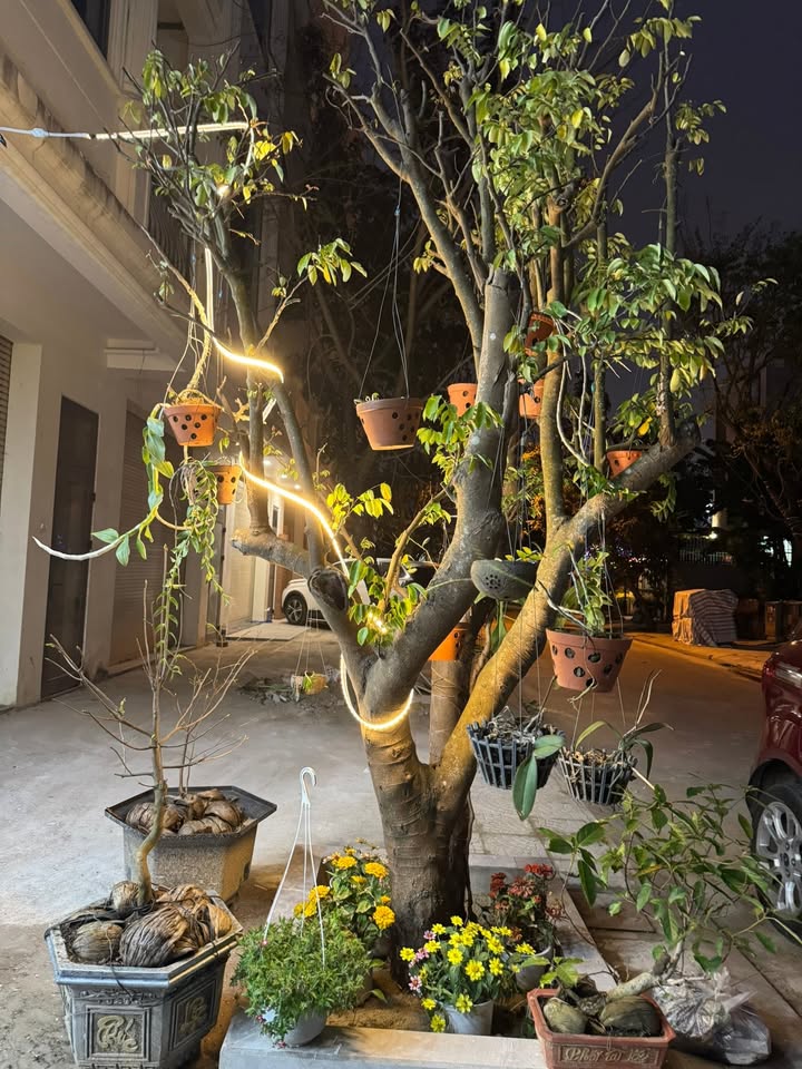 Đất nền KĐT điện âm Hòa Quý 111m² 5.45 tỷ - Sổ đỏ chính chủ