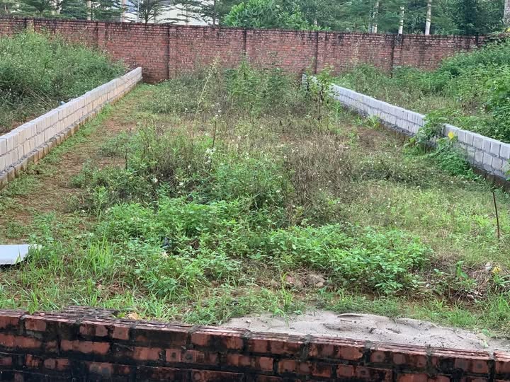 Đất nền Đồng Trúc Thạch Thất 130m² giá 3 tỷ - Sổ đỏ chính chủ