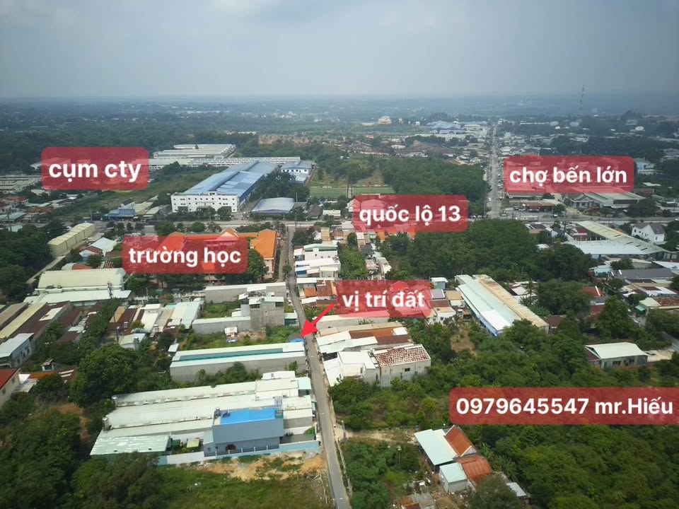 Đất Vàng Phường Tân Định - Bến Cát 210m² Sổ Đỏ Chính Chủ, Gần Chợ & Trường Học