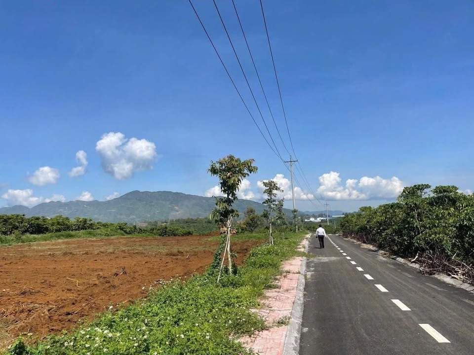 Bán đất P. B'lao TP. Bảo Lộc 621m² giá 9xx triệu - Tiềm năng tăng giá