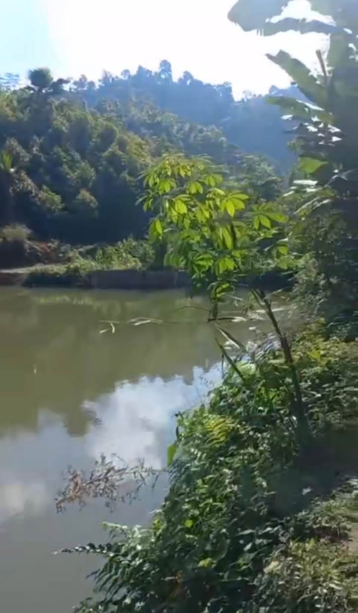 Đất Vườn Chợ Đồn Bắc Kạn 4.3ha Giá 595 Triệu - Nghỉ Dưỡng Lý Tưởng!