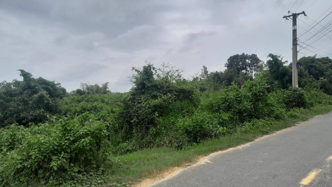 Đất vườn Quảng Ngãi Đạ Huoai 20000m² - Sổ đỏ chính chủ!