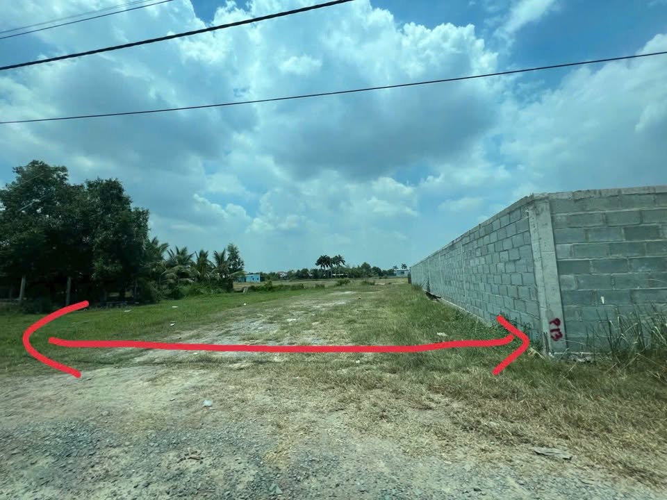 Đất nền Hậu Nghĩa, Đức Hòa 320m² - Sổ đỏ chính chủ, tiềm năng tăng giá!