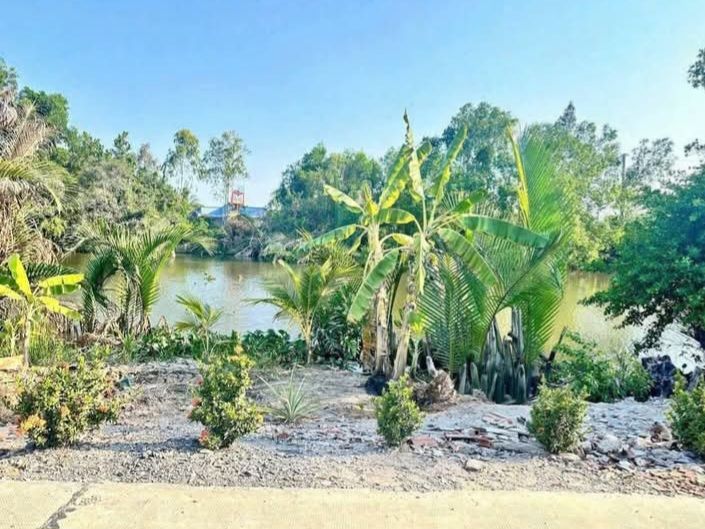 Đất Vườn Mặt Tiền Sông 500m² Bến Lức - Giá 550 Triệu, Bán Gấp