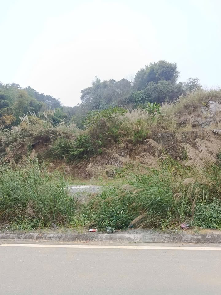 Mặt bằng đất trống 200m² đường Bm30, Lào Cai - Hoạt động ngay!