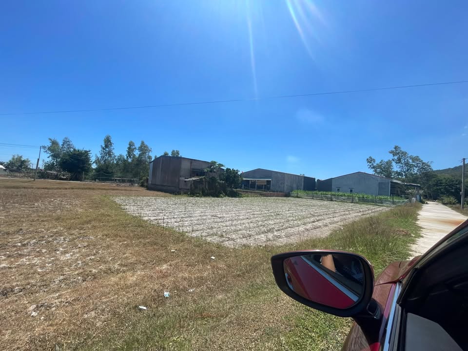 Đất nền Cát Hải Phù Cát 160m² giá 900 triệu - Sổ đỏ chính chủ!