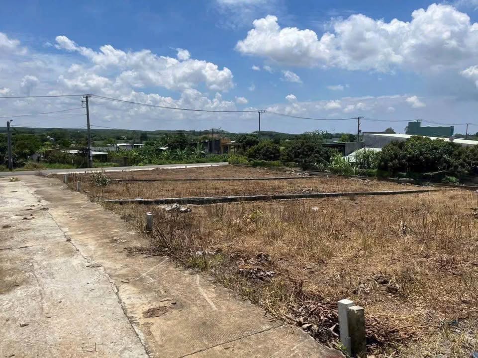 Đất Nền Láng Dài 80m² - Sổ Hồng Sẵn Sàng, Giá Chỉ 519 Triệu