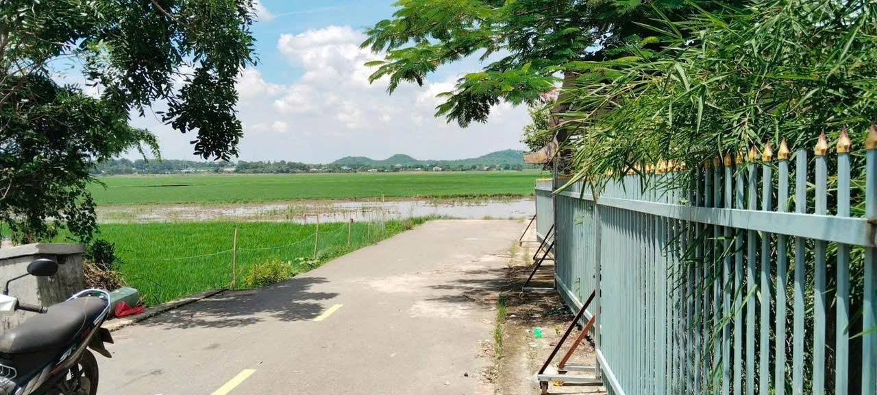 Bán 3100m² Đất Hồ Tràm - Sổ Hồng Sẵn - Giá 1.2 Tỷ