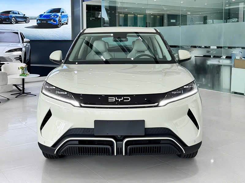 Nhà riêng Nam Kỳ Khởi Nghĩa Đà Lạt 65m² giá 3.95 tỷ - Vị trí vàng!