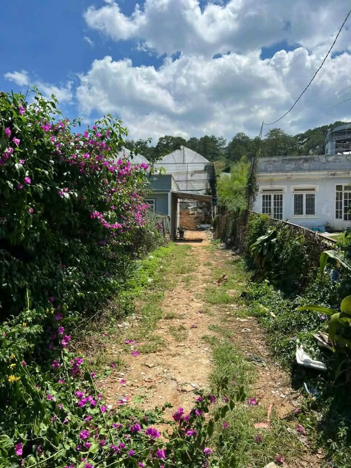 Đất nền Phường 7 Đà Lạt 1106m² giá 5 tỷ - Pháp lý rõ ràng