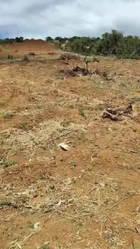 Đất nền Lộc Bắc Bảo Lâm 2880m² - Tiềm năng tăng giá vượt trội!