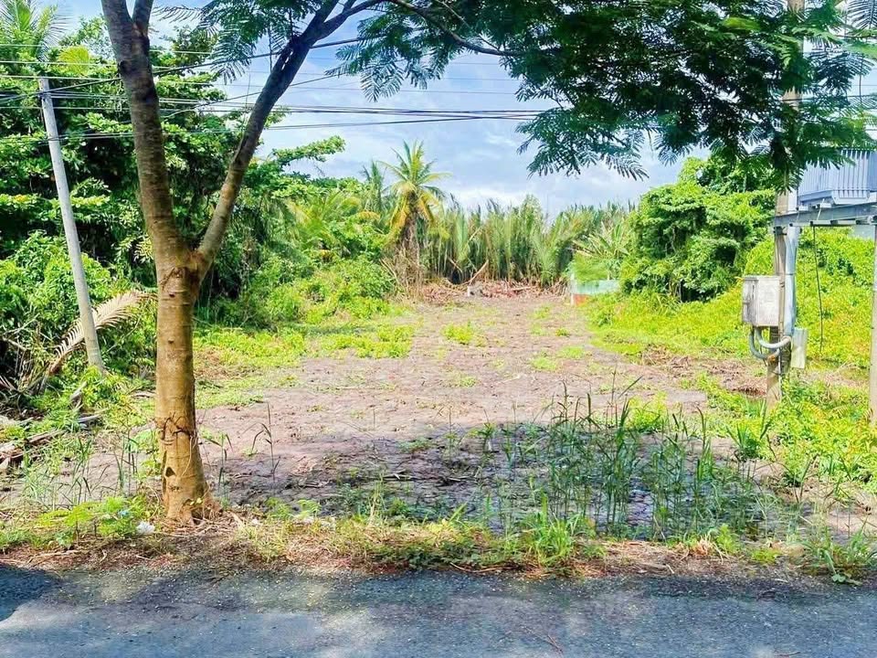 Đất mặt tiền Lộ 936 Tham Đôn 620m² giá 650 triệu - Sổ hồng sẵn