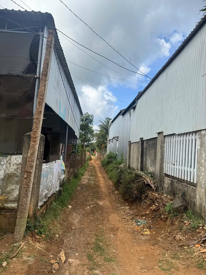 Đất nền Hòa Tiến Krông Pắc - 210m² - 9xx triệu/lô - Sổ hồng TC