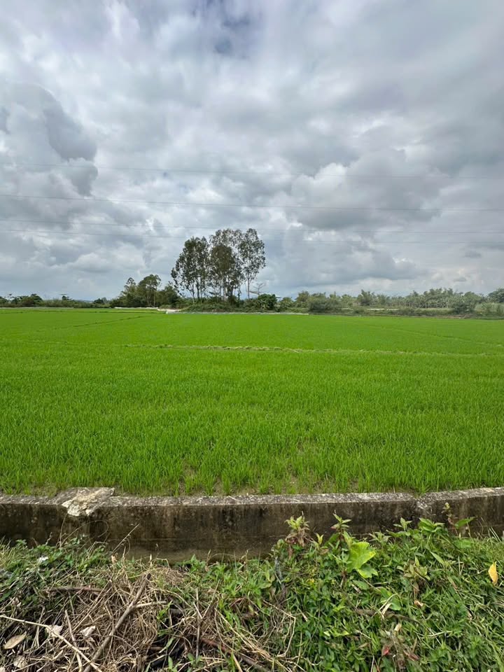 Đất nền Điện Hòa, Điện Bàn 140m² giá 890 triệu - Đường to ô tô!