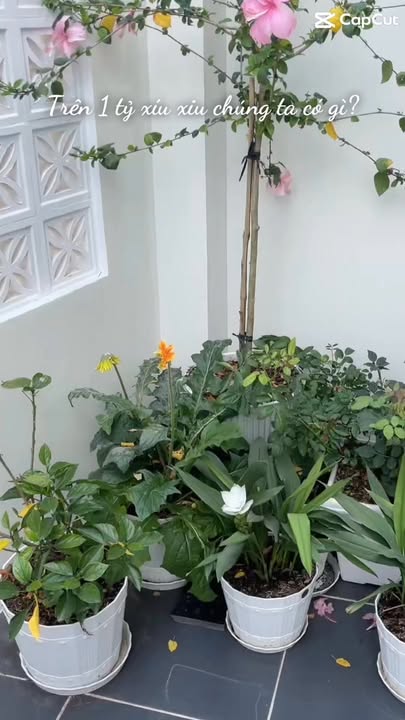 Nhà 2 Mặt Tiền Thoáng Mát - 69m² Tại Mỹ Tho - Giá Hơn 1 Tỷ - Sẵn Sàng Đón Tết