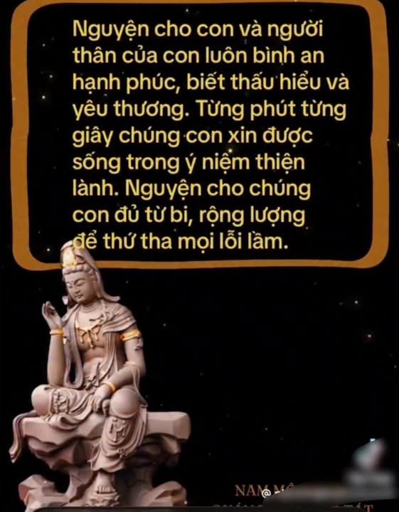 Đất Vườn Bình Trung Quảng Ngãi 392m² - Sổ Hồng Full Thổ Cư, Giá Đầu Tư 1.5 Tỷ