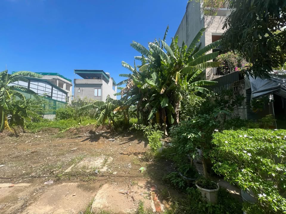 Đất Bích Đào 111m² giá đầu tư - Sổ đỏ sẵn, ngõ ô tô tránh!