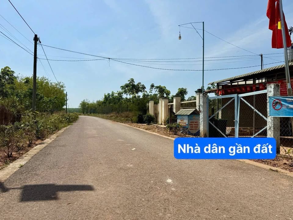 Đất Mặt Tiền Dầu Tiếng 250m² - Sổ Hồng Sẵn Sàng - Chỉ 499 Triệu