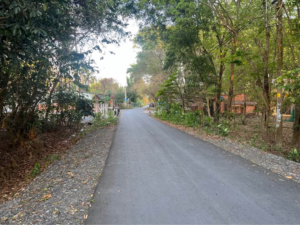 Đất Vườn Củ Chi 7000m² Giá Tốt - Gần Chợ Phú Hòa Đông