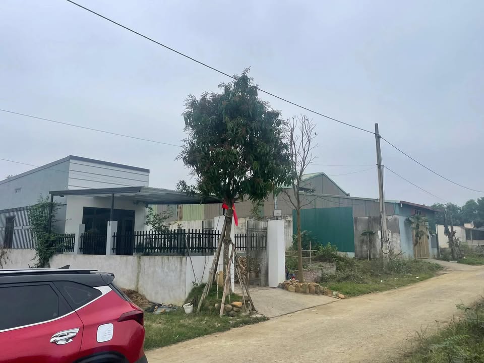 Đất nền Tân Tiến Thanh Sơn 135m² giá 1 tỷ - Sổ đỏ chính chủ