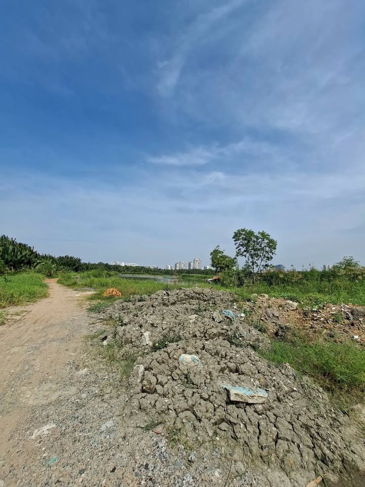 Bán Đất Vườn 5425m² Mặt Tiền Phạm Hữu Lầu, Nhà Bè - Sổ Đỏ, Giá Thỏa Thuận