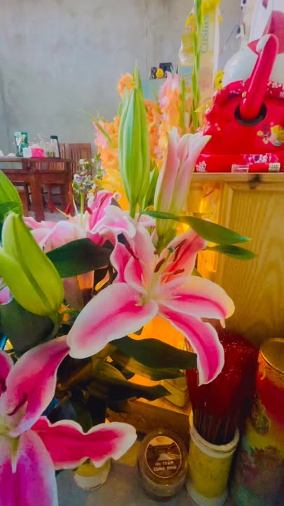 Nhà Riêng 50m² Pleiku - Chính chủ bán, sổ hồng sẵn!