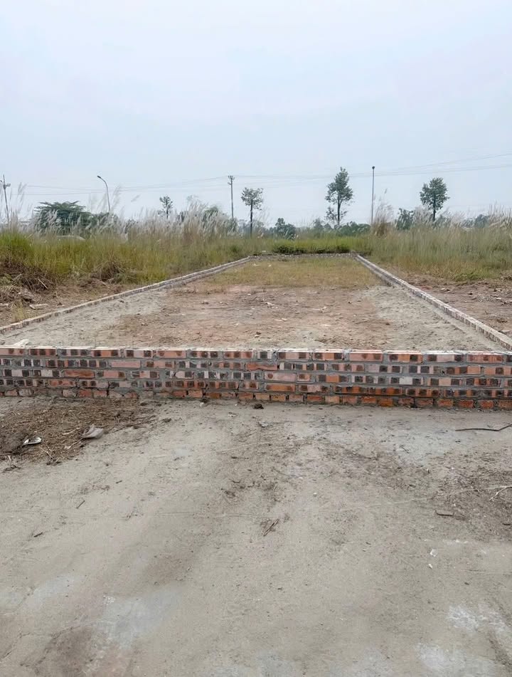 Đất Đấu Giá Đồng Quân Lập Thạch 95m² - Sổ Đỏ Chính Chủ Giá Đầu Tư