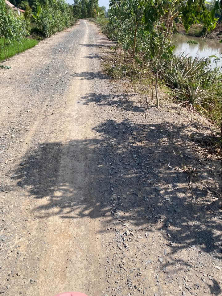 Đất Vườn Bình Thành Cao Lãnh 6500m² 1.5 Tỷ - Đầu Tư Sinh Lời!