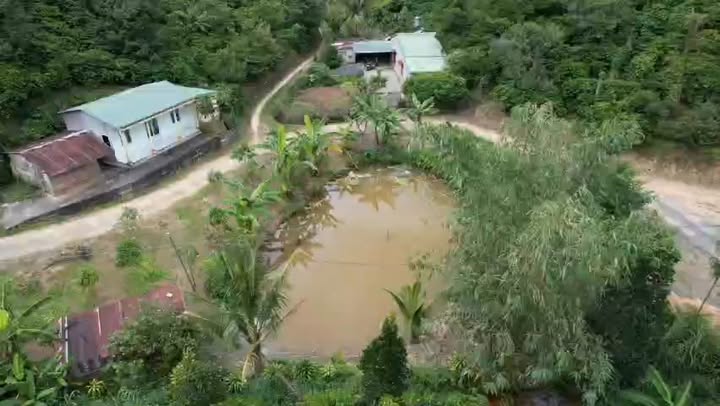 Đất nền Bảo Lộc 1ha giá 6.3 tỷ - Sổ đỏ chính chủ, tiềm năng tăng giá!