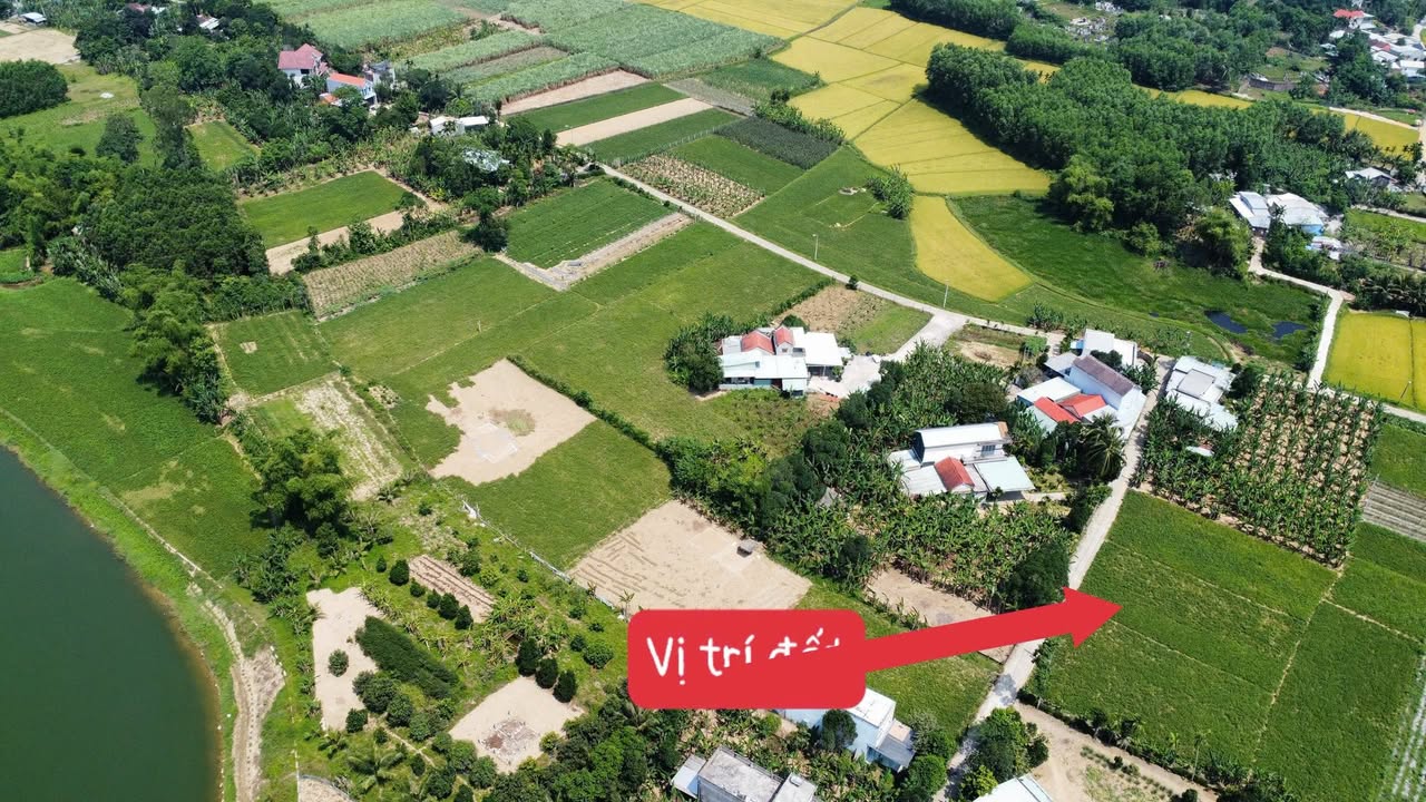 Đất vườn Hòa Ninh, Hòa Vang 550m² - Tiềm năng tăng giá vượt trội!