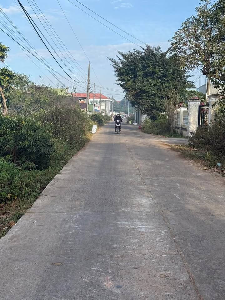 Bán Đất Tân Hội Đức Trọng 3060m² Sổ Đỏ Thổ Cư 8.5 Tỷ