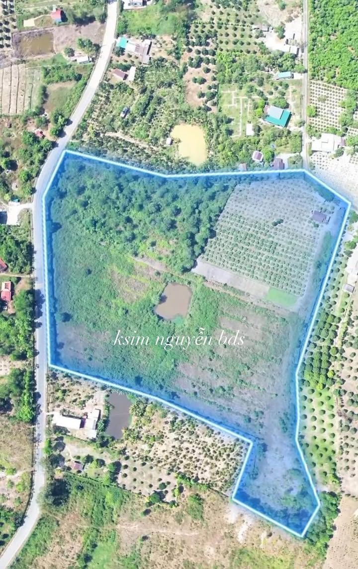 Bán Gấp Farm 40.360m² Mặt Tiền 600a Nam Cát Tiên, Đồng Nai - Giá 10 Tỷ