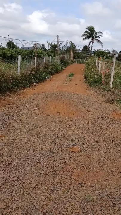 Cho thuê 1ha đất Đạ Sar, Lạc Dương - View hồ kinh doanh ngay!