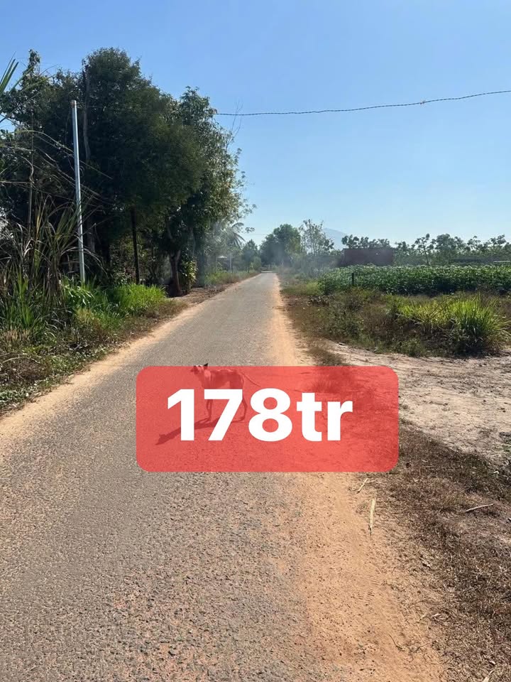 Đất Nền Mặt Tiền Trà Vong, Tân Biên 250m² - Giá F0 Chỉ 178 Triệu