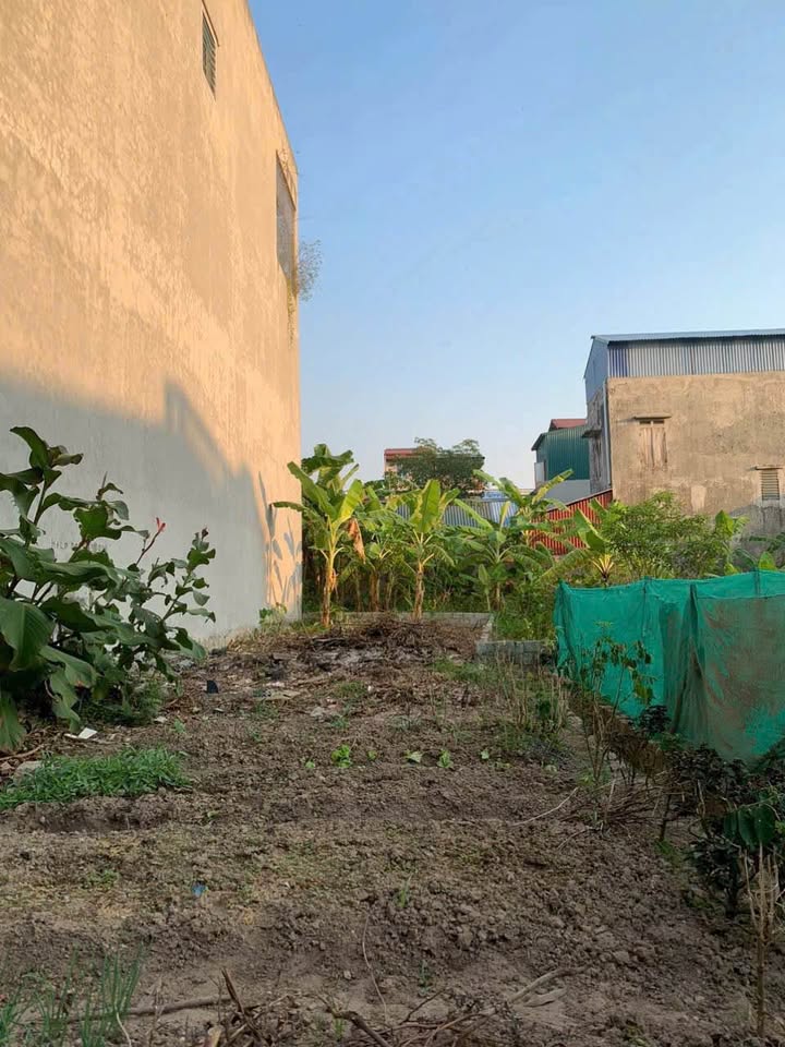 Đất nền Phạm Cự Lượng, Hải Dương 66m² - Tiềm năng tăng giá vượt trội!