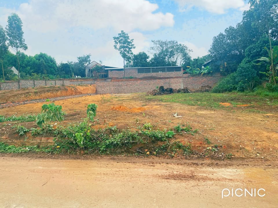 Đất Lập Thạch Vĩnh Phúc 173m² - Sát KCN, Sổ Đỏ Rõ Ràng