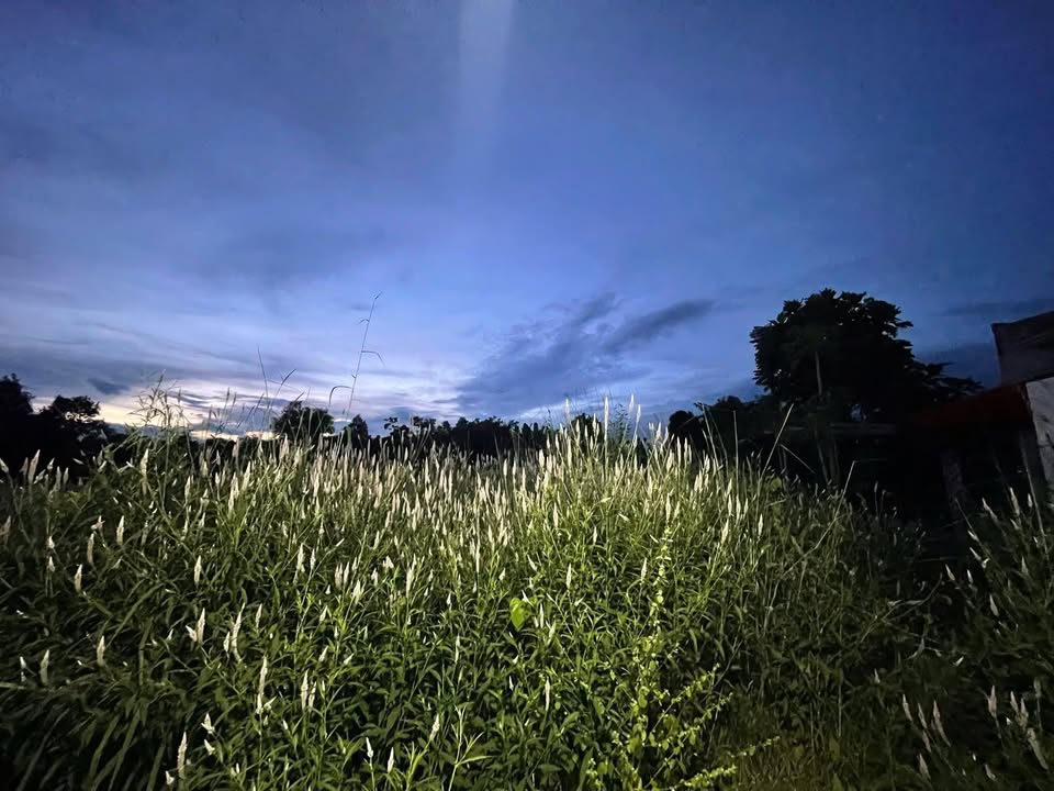 Nhà riêng Vĩnh Tân, Vĩnh Cửu 175m² - Chính chủ bán, giá tốt hiếm có!