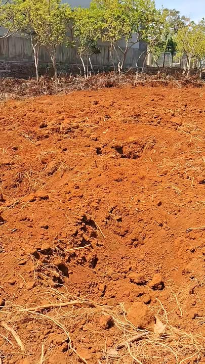 Bán Đất Nền Mặt Tiền Quốc Lộ 14C, Tuy Đức, Đắk Nông - 960m²