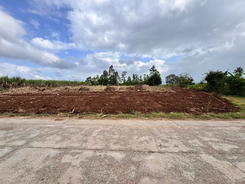 Đất Sổ Hồng Sẵn 395m² Đức Bình - Sông Hinh: Vị Trí Vàng, Giá Thỏa Thuận