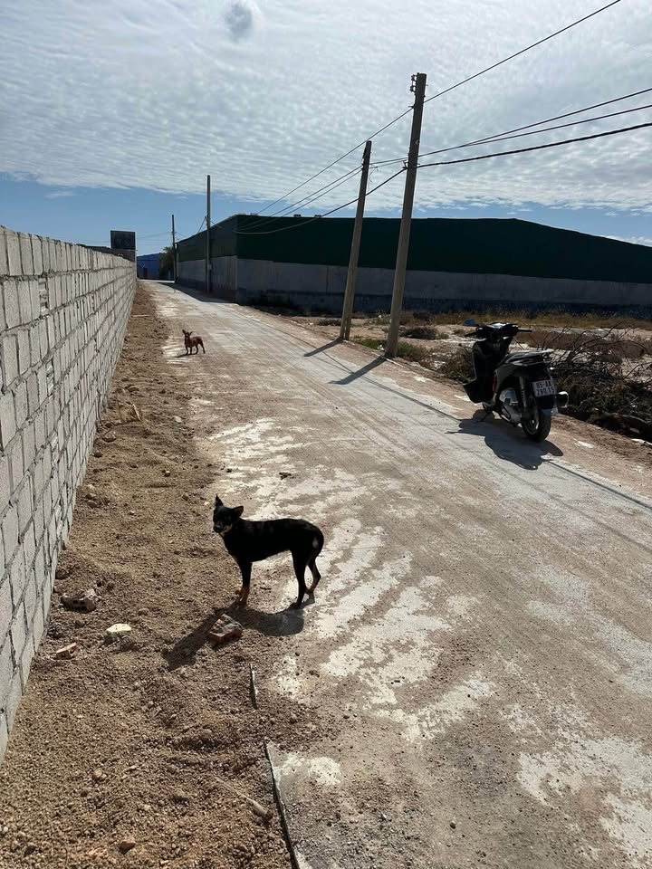 Sang nhượng Trang trại Nuôi Tôm Ốc 1040m² Vĩnh Hải, Ninh Thuận - Giá Tốt