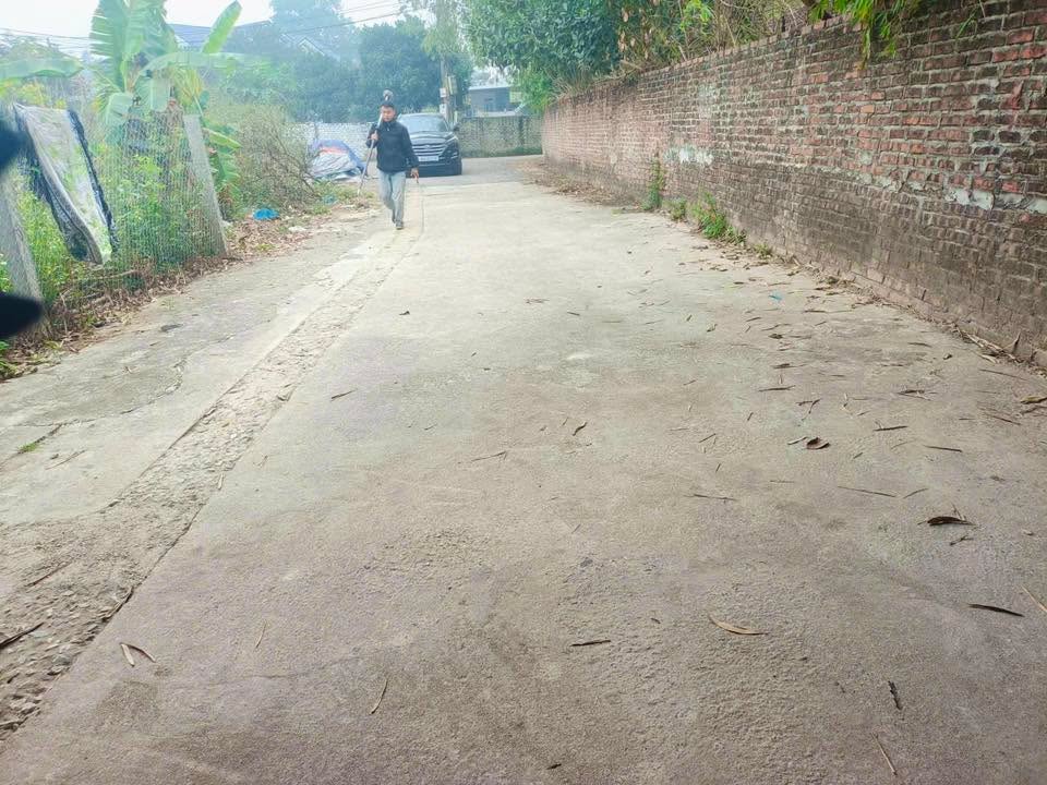 Đất thổ cư 120m² Duy Phiên, Tam Dương - Giá tốt chỉ 620 triệu