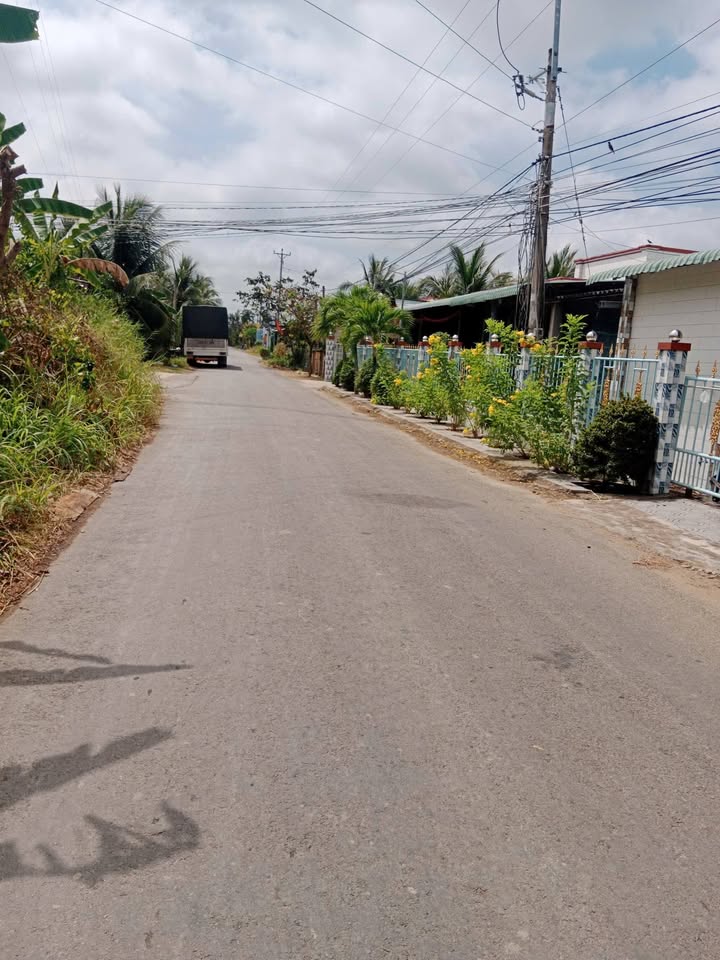 Đất vườn Bình Đại, Bến Tre 12000m² - Sinh thái xanh, tiềm năng đầu tư!