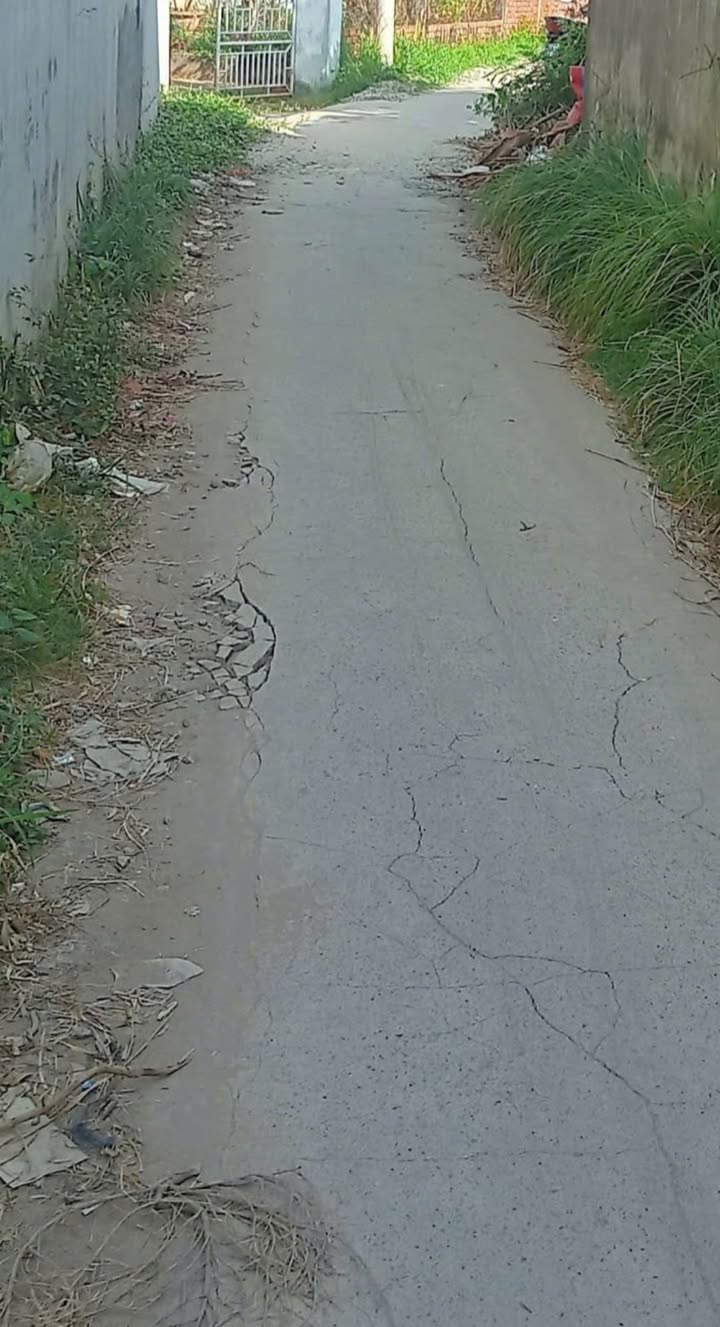 Đất nền An Đức, Ba Tri 143m² - Sổ đỏ chính chủ, tiềm năng sinh lời!