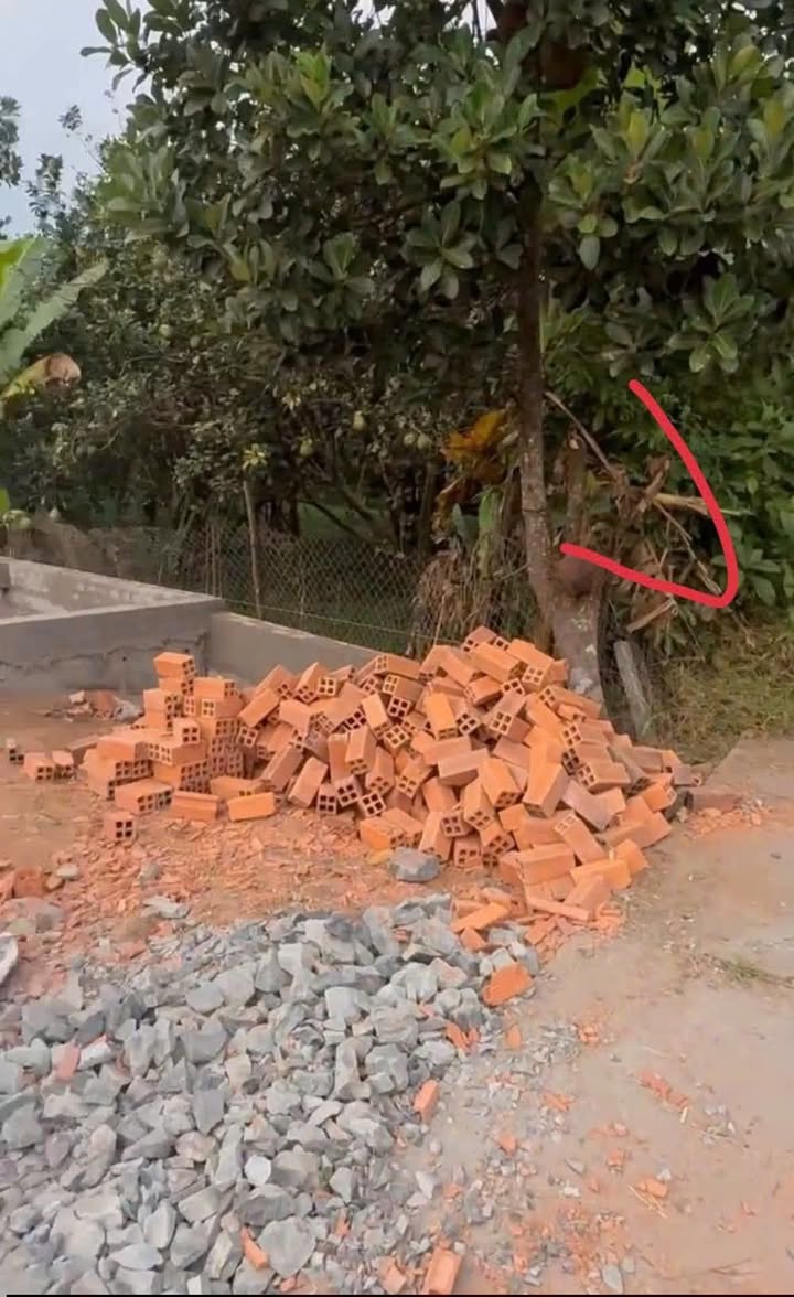 Đất nền Đông Bình 48m² giá 250 triệu - View sông cực thoáng