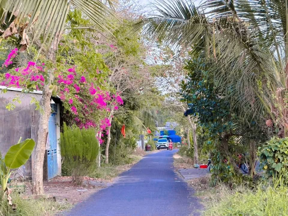 Đất nền Xã Tân Lược Bình Tân 240m² giá 1.2 tỷ - Sổ hồng sẵn!